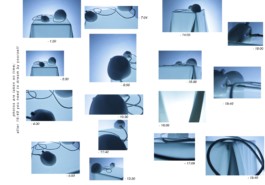 Rama Bielewski